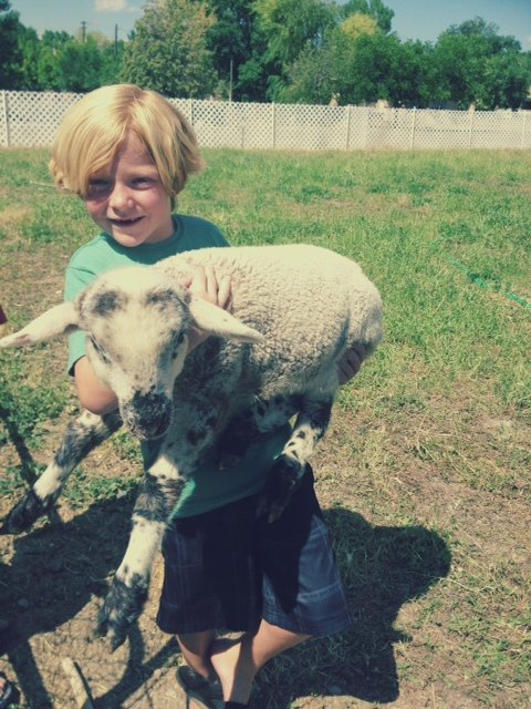 jacob with lamb