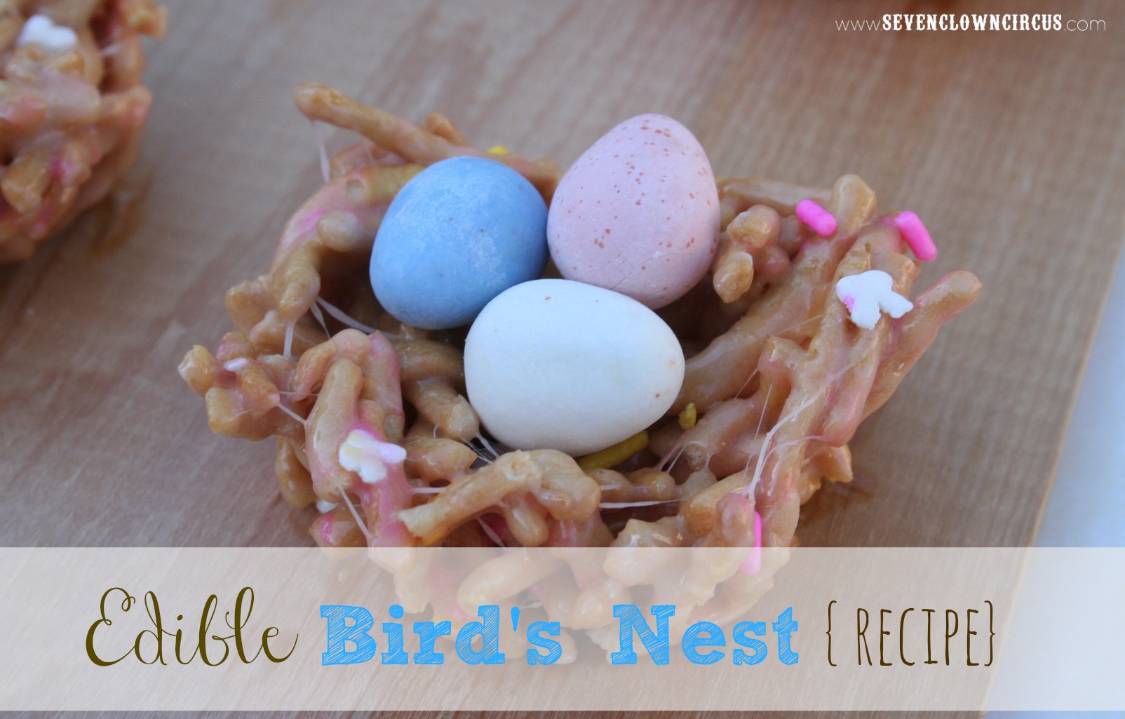 Edible Bird's Nest